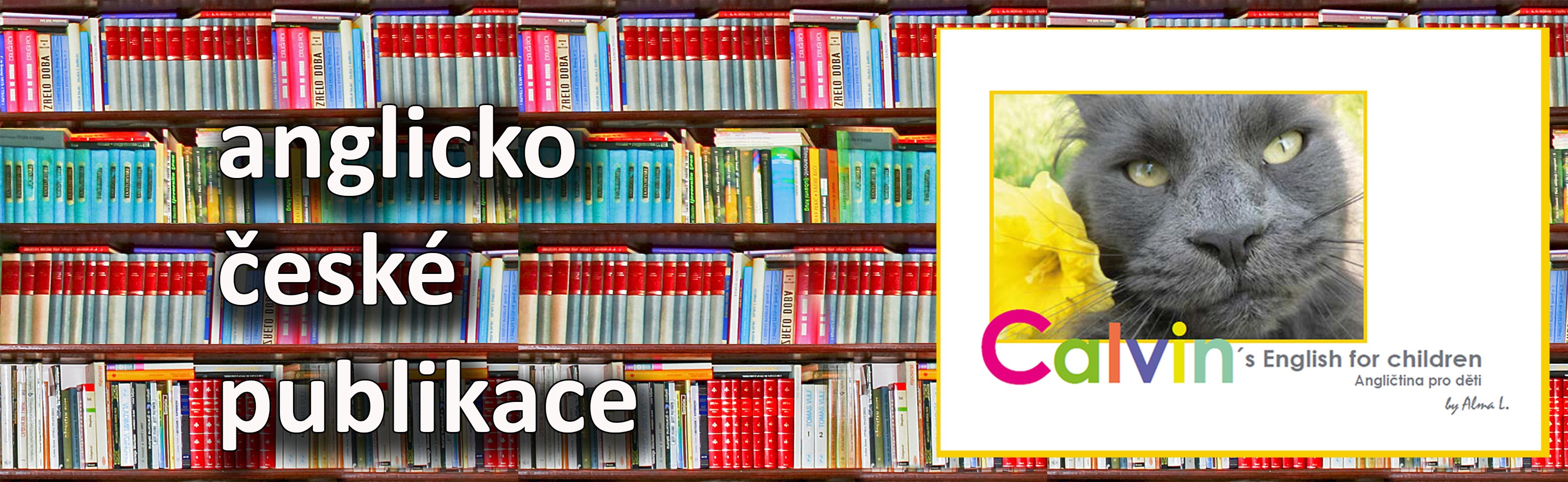 Bilingvní anglicko-české publikace